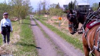 Trans Canada Trail horse drawn wagon [upl. by Eixid]