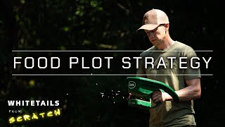 Food Plot Strategy Choosing WHERE and WHAT to plant to attract Big Bucks [upl. by Stout]