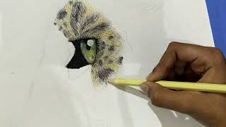 How to draw realistic leopard fur for beginners [upl. by Mcneely796]