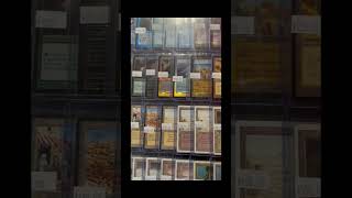 MTG top HEAVY BAGS in 2024 magicthegathering edh cardgame tcg edhcommunity mtgcommander [upl. by Fanestil]