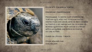 CHOISIR SA TORTUE  Quelle espèce acquérir [upl. by Ariay718]