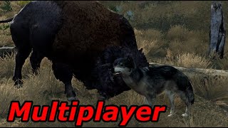 WolfQuest 3 AE  Multiplayer stream [upl. by Tnecniv858]