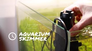 Clean Water Surface after trimming Aquarium Plants w Eheim Skim350 skimmer [upl. by Sale]