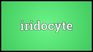 Iridocyte Meaning [upl. by Crelin898]