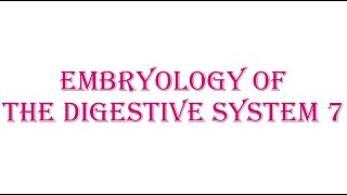 12 Derivatives of Midgut [upl. by Teddman964]