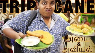 Elai kolakattai and Elaneer payasam  Triplicane Street Food [upl. by Annayak273]