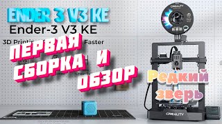 Ender 3 V3 KE лучший хоббийный 3Д принтер на Klipper за 24к [upl. by Rocco442]