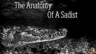 The Anatomy Of A Sadist [upl. by Igal510]