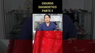 OXIUROS DIAGNOSTICO  PARTE 2 [upl. by Ysak]