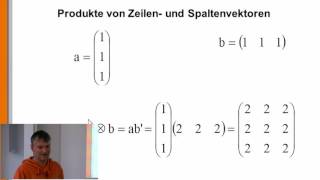 MATLAB 2 Vektoren und ihre Plutimikation [upl. by Enomis841]