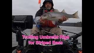 Trolling Umbrella Rigs for Stripers on Lake Rhodhiss NC 12324 [upl. by Lunneta]