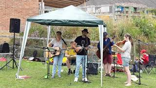 Chartham string band live at Petham summer fair July 6th 2019 [upl. by Kauffmann535]