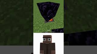 Interesting Features vs Villager Myths Reaction shorts meme minecraft [upl. by Nalro]