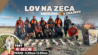 Lov na Zeca  Zmajevo II deo  Belom municija  Metak Fazan  Hare hunting in Zmajevo  part II E223 [upl. by Amej]