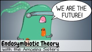 Endosymbiotic Theory [upl. by Cramer]