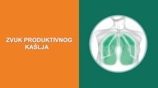 Zvuk produktivnog kašlja  Sound of productive cough [upl. by Cargian472]