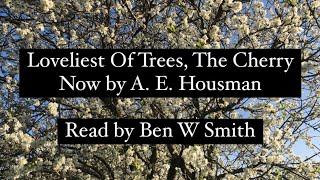 Loveliest Of Trees The Cherry Now by A E Housman  British accent read by Ben W Smith [upl. by Mavilia]