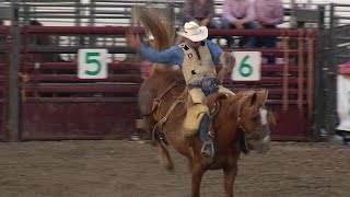 Hamel Rodeo Returns [upl. by Sido481]