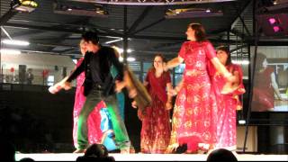 ShahRukh Khan  Chaiyya Chaiyya  Incredible India Festival 2011  The Netherlands [upl. by Ettesus599]