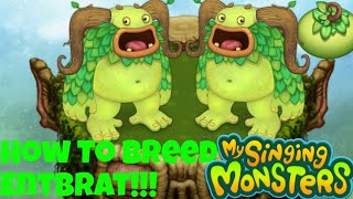 How To Breed Entbrat  My Singing Monsters [upl. by Htiduy]