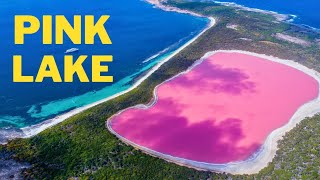 Australia Bright Pink Hillier Lake [upl. by Aridni357]