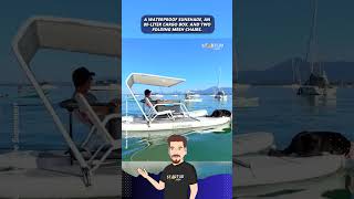 Standup Paddleboard Catamaran shorts startupselfie [upl. by Chura]