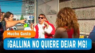 ¡Gallina no quiere dejar Mucho Gusto  Mucho Gusto 2018 [upl. by Peednus]