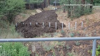 WATCH Monsoon storm triggers mud runoff in Flagstaff [upl. by Surovy]