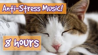 Songs for Nervous Cats Soothing Music to Calm Your Hyperactive Anxious Cat and Help with Sleep 🐈 [upl. by Tiga]