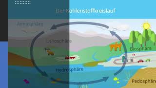 Der Kohlenstoffkreislauf einfach erklärt [upl. by Tjaden]