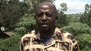 Narok County in plan to refurbish Kilgoris town [upl. by Ecinnaj]