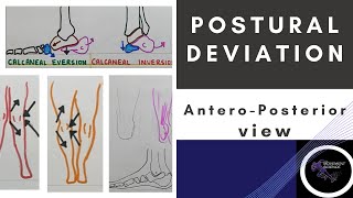 POSTURAL DEVIATION ANTERIO POSTERIOR VIEW LOWER LIMB Posture BiomechanicsPhysiotherapy Tutorial [upl. by Oettam]