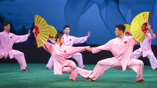 2020 Fujian Wushu Team  2nd Place  Group Set  China National Wushu Taolu Competition [upl. by Eilama]