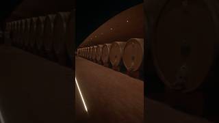 Antinori nel Chianti Classico🇮🇹🎥marchesiantinorivineyard winery familybusiness italy tuscany [upl. by Alva]