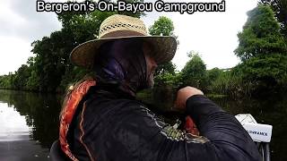 Bergerons On Bayou Campground Bluegills [upl. by Dilan]