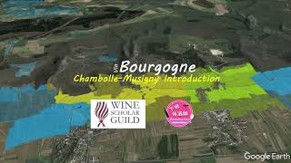 Wine Scholar Guild Bourgogne MasterLevel  Chambolle Musigny An Introduction  Burgundy Wine Study [upl. by Vi]