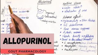 Allopurinol  Mechanism of action Uses Adverse effects Interactions in detail UrduHindi [upl. by Lindbom]