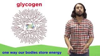 Carbohydrates Part 2 Polysaccharides [upl. by Etom]