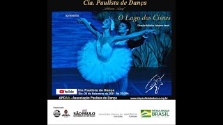 O LAGO DOS CISNES  BALLET CLÁSSICO DE REPERTÓRIO [upl. by Haidabez]