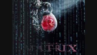 The Eyes of the Truth Matrix Cut  Enigma  New Age Trailer Theme Track [upl. by Sulamith]