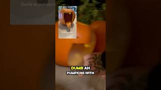 Dumb ahh pumpkin funny trending [upl. by Benilda]