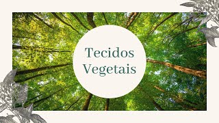 Os Tecidos Vegetais [upl. by Osner]