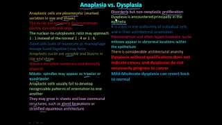 114P Anaplasia vs Dysplasia [upl. by Itsim]