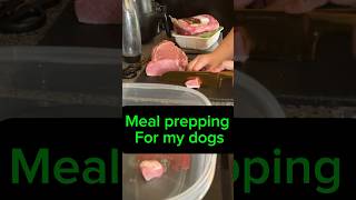 music dog raw rawfeed rawfood eating mealprep meal meals dogs dogbreeder dogbreeding [upl. by Glasgo765]