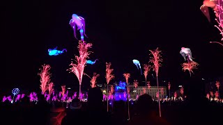 Fête des lumières 2019  rétrospective [upl. by Ludly]