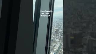 Great View tokyoskytree perfectview tokyocity youtubeshorts [upl. by Leahpar506]