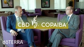 CBD Oil vs Copaiba Oil – Dr Hill and Dr O Discuss How CBD and Copaiba Work [upl. by Ellie]