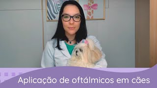 Medicamentos oftálmicos como aplicar no seu cachorro [upl. by Proudlove]