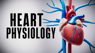 The Cardiac Cycle Simplified  What You Need to Know [upl. by Ennasirk]