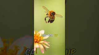 UnBEElievable Bee Facts Thatll Blow Your Mind [upl. by Saylor]